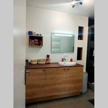 Logement Entier+ Jardin Prive Et Parking 2Places Ρουέν Εξωτερικό φωτογραφία